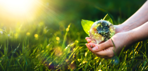 From Soil to Soul – The Power of Natural Living
